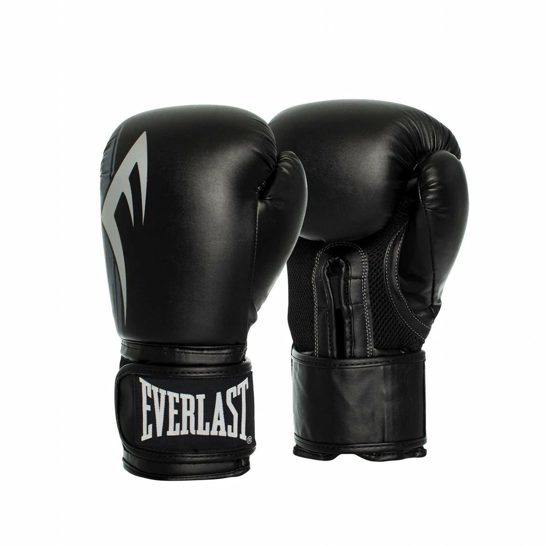 Everlast Pro Style Power Boxing Gloves 12oz 3 Everlast Pro Style Power Boxing Gloves 12oz