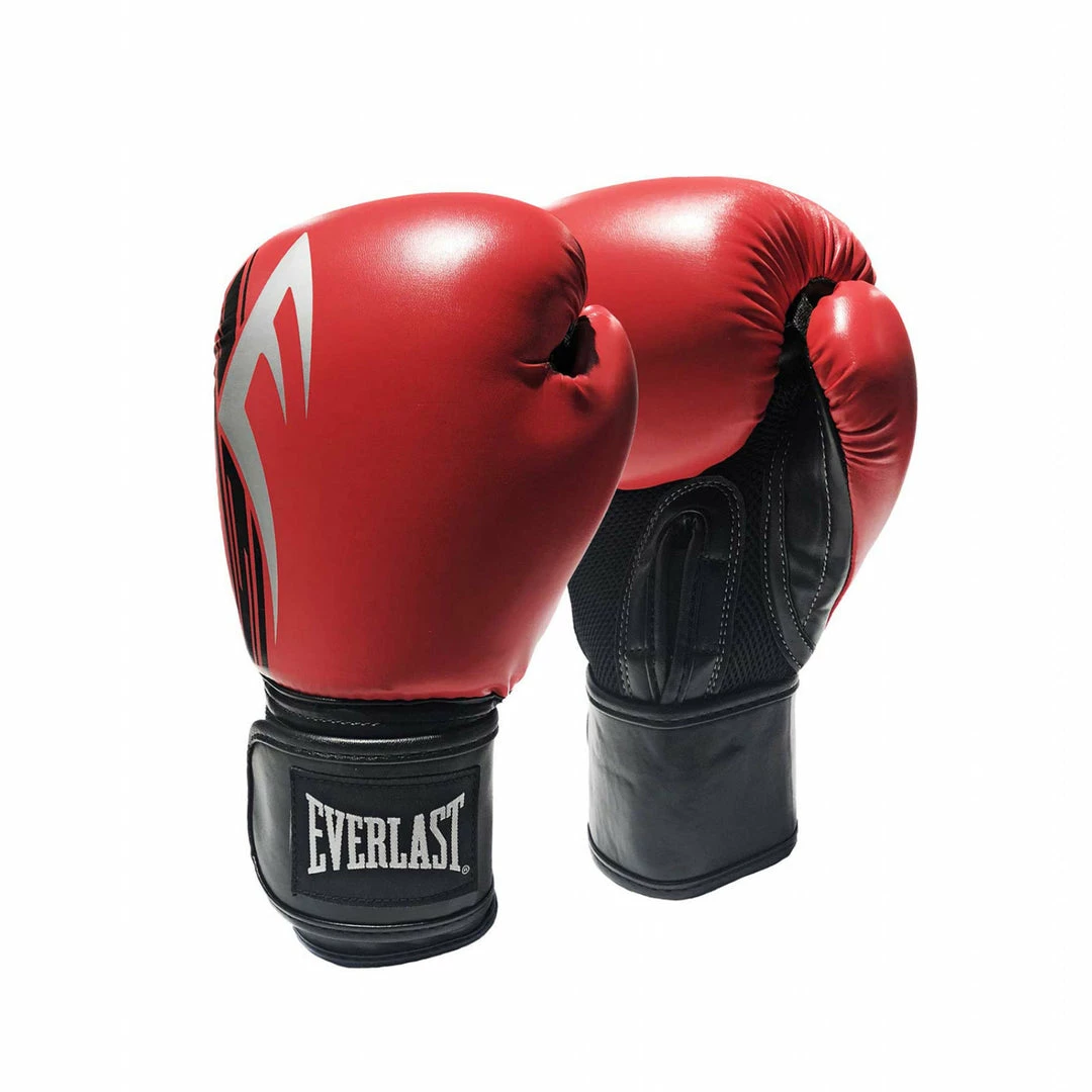 Everlast Pro Style Power Boxing Gloves 12oz 4 Everlast Pro Style Power Boxing Gloves 12oz