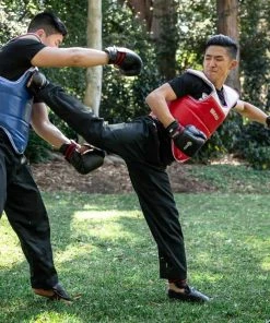 SMAI Reversible Taekwondo Chest Guard Martial Arts Training SMID301