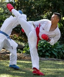 SMAI - WKF Approved Belt