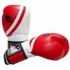 Morgan V2 Professional Leather Boxing Gloves (10-12-14-16oz)