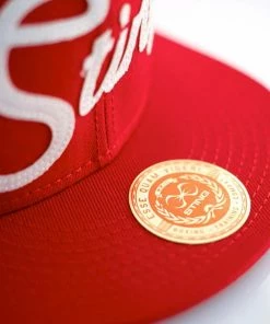 STING CLASSIC SNAPBACK BASEBALL CAP 9 STING CLASSIC SNAPBACK BASEBALL CAP