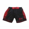 SMAI - Kids MMA Shorts 2.0 BOXING / MUAY THAI / MMA