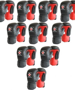 MANI Boxing Coaching Punch Mitt Pad Bulk Pack Set Gym Personal Trainer