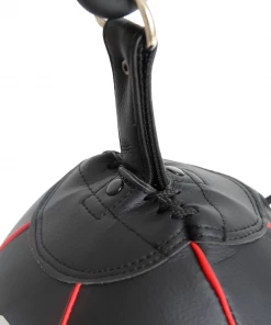 SMAI - Floor To Ceiling Speed Bag