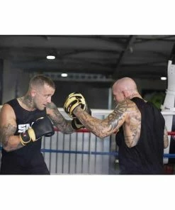 BOXING / MUAY THAI / MMA SMAI Mexican Micro Focus Mitts Pads Pair Gold And Black