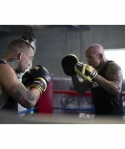 SMAI - Mexican Hybrid Boxing Glove V3