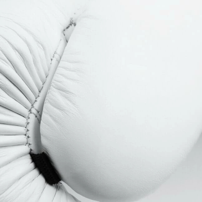 BOXING / MUAY THAI / MMA Adidas Speed 175 Boxing Gloves – White 13 BOXING / MUAY THAI / MMA Adidas Speed 175 Boxing Gloves – White