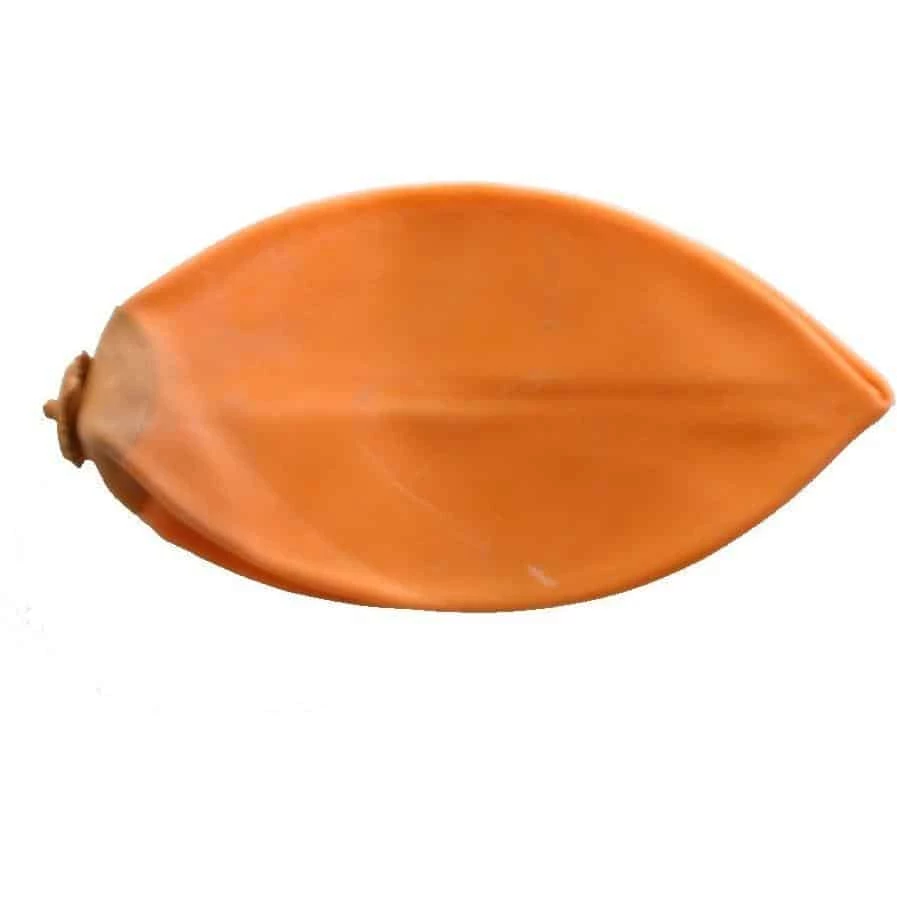 Mani Speed Ball Replacement Bladder Small 3 Mani Speed Ball Replacement Bladder Small