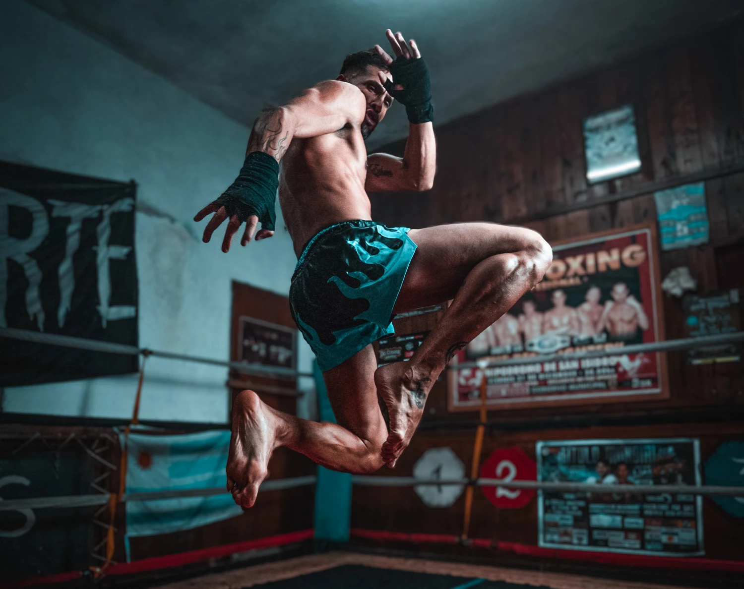 MMA DIRECT Sales -MMA DIRECT Sales 5a6da1140894571.624a351a6ead1 拷贝